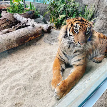 神戸どうぶつ王国に投稿された画像（2022/4/5）