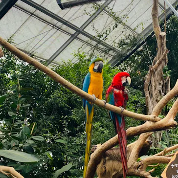 神戸どうぶつ王国に投稿された画像（2022/4/5）