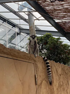 神戸どうぶつ王国に投稿された画像（2022/4/5）