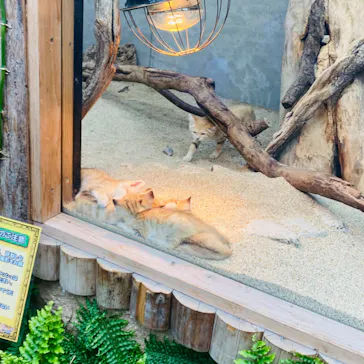 神戸どうぶつ王国に投稿された画像（2022/4/5）