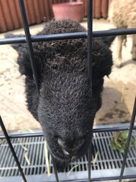 東武動物公園に投稿された画像（2022/4/5）