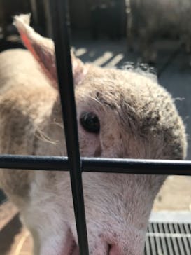 東武動物公園に投稿された画像（2022/4/5）