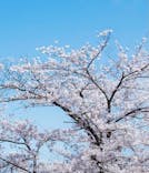 ひらかたパークに投稿された画像（2022/4/5）