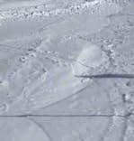 熊の湯スキー場に投稿された画像（2022/4/5）