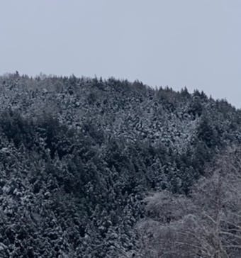 熊の湯スキー場に投稿された画像（2022/4/5）