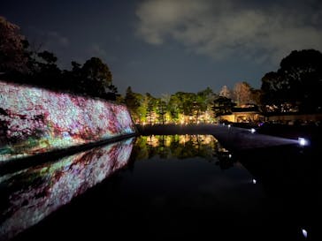 NAKED FLOWERS 2022 -桜- 世界遺産・二条城に投稿された画像（2022/4/4）