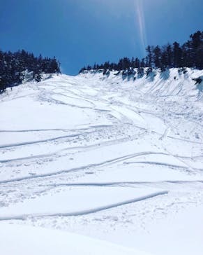 横手山・渋峠スキー場に投稿された画像（2022/4/5）