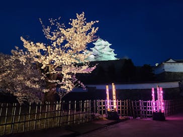 姫路城（イベント）に投稿された画像（2022/4/5）