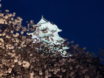 姫路城（イベント）に投稿された画像（2022/4/5）