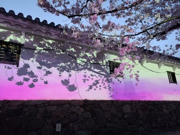 姫路城（イベント）に投稿された画像（2022/4/5）