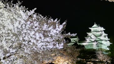 姫路城（イベント）に投稿された画像（2022/4/5）