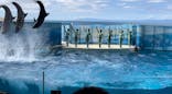 新江ノ島水族館に投稿された画像（2022/4/5）