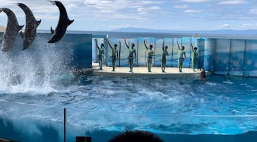 新江ノ島水族館に投稿された画像（2022/4/5）