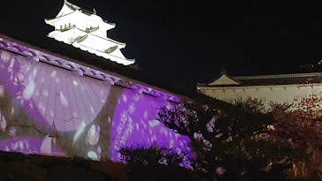 姫路城（イベント）に投稿された画像（2022/4/5）