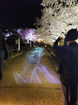 姫路城（イベント）に投稿された画像（2022/4/5）