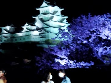 姫路城（イベント）に投稿された画像（2022/4/5）
