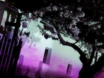 姫路城（イベント）に投稿された画像（2022/4/5）