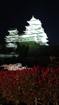 姫路城（イベント）に投稿された画像（2022/4/5）