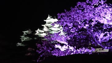 姫路城（イベント）に投稿された画像（2022/4/5）