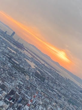 ハルカス300(展望台)に投稿された画像（2022/4/5）