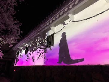 姫路城（イベント）に投稿された画像（2022/4/5）