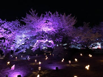 姫路城（イベント）に投稿された画像（2022/4/5）