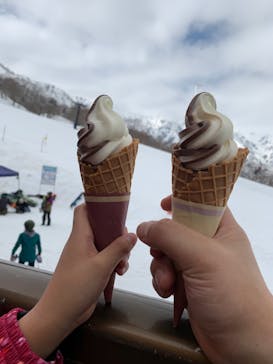 Hakuba47ウィンタースポーツパークに投稿された画像（2022/4/5）