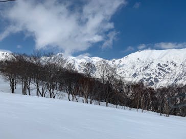 Hakuba47ウィンタースポーツパークに投稿された画像（2022/4/5）