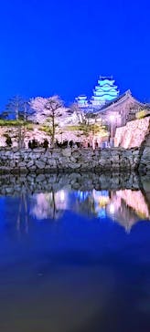 姫路城（イベント）に投稿された画像（2022/4/5）