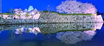 姫路城（イベント）に投稿された画像（2022/4/5）