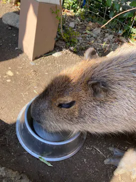 横浜・八景島シーパラダイスに投稿された画像（2022/4/5）