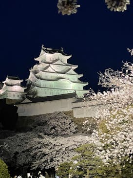 姫路城（イベント）に投稿された画像（2022/4/5）