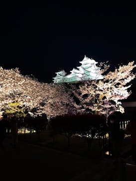 姫路城（イベント）に投稿された画像（2022/4/5）