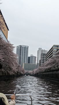 東京ウォータウェイズに投稿された画像（2022/4/5）