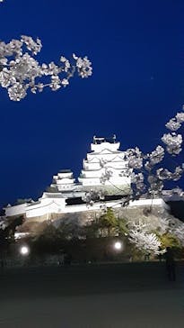 姫路城（イベント）に投稿された画像（2022/4/5）