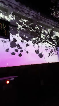 姫路城（イベント）に投稿された画像（2022/4/5）