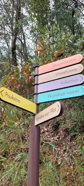 ムーミンバレーパークに投稿された画像（2022/4/5）