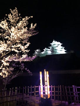 姫路城（イベント）に投稿された画像（2022/4/5）