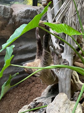 カワスイ 川崎⽔族館に投稿された画像（2022/4/5）