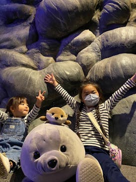 新江ノ島水族館に投稿された画像（2022/4/5）