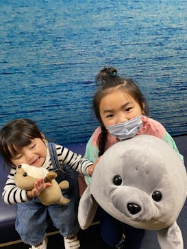 新江ノ島水族館に投稿された画像（2022/4/5）