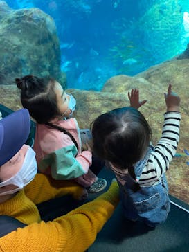 新江ノ島水族館に投稿された画像（2022/4/5）