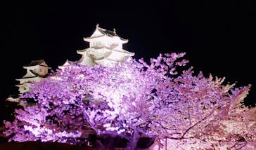 姫路城（イベント）に投稿された画像（2022/4/5）