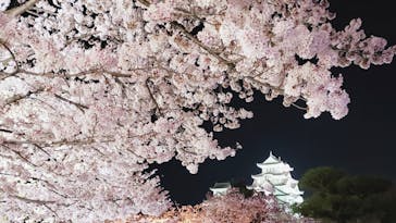 姫路城（イベント）に投稿された画像（2022/4/5）