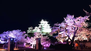 姫路城（イベント）に投稿された画像（2022/4/5）