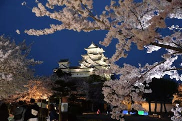 姫路城（イベント）に投稿された画像（2022/4/5）