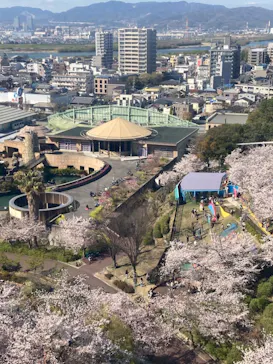 ひらかたパークに投稿された画像（2022/4/5）