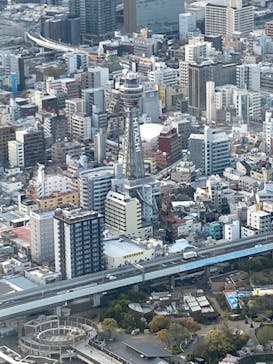 ハルカス300(展望台)に投稿された画像（2022/4/5）