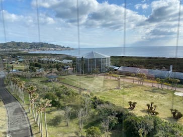 アロハガーデンたてやまに投稿された画像（2022/4/5）