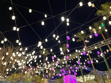 ひらかたパークに投稿された画像（2022/4/5）